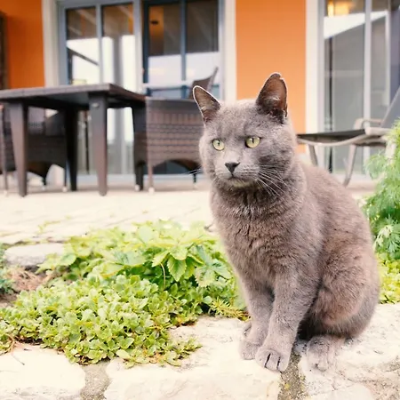 Simmernhof Mossendorf Hotel Burglengenfeld